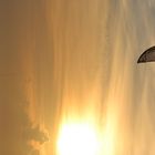 Kite-Surfen in St. Peter-Ording