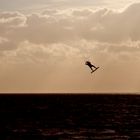 Kite-Surfer