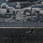 Kite Surfer