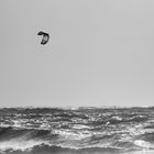 Kite Surfer