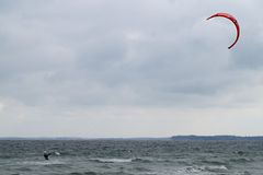 Kite Surfer