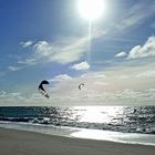 Kite Surfer 