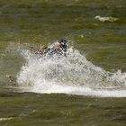 Kite Surfer auf dem Ijsselmmer bei Hindeloopen
