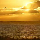 Kite-Surfer auf dem Thau