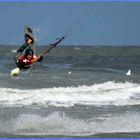 Kite-Surfer Sommer 2008