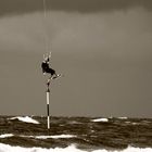 Kite-Surfer vor Amrum