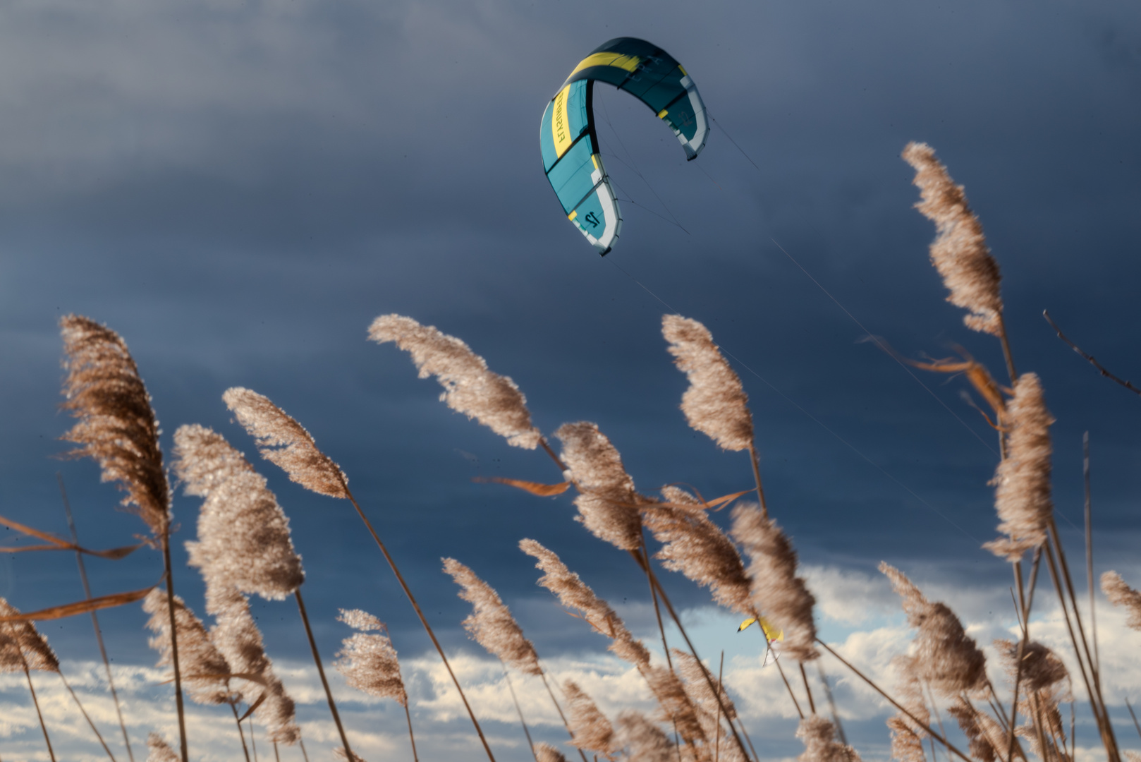 Kiter am See 