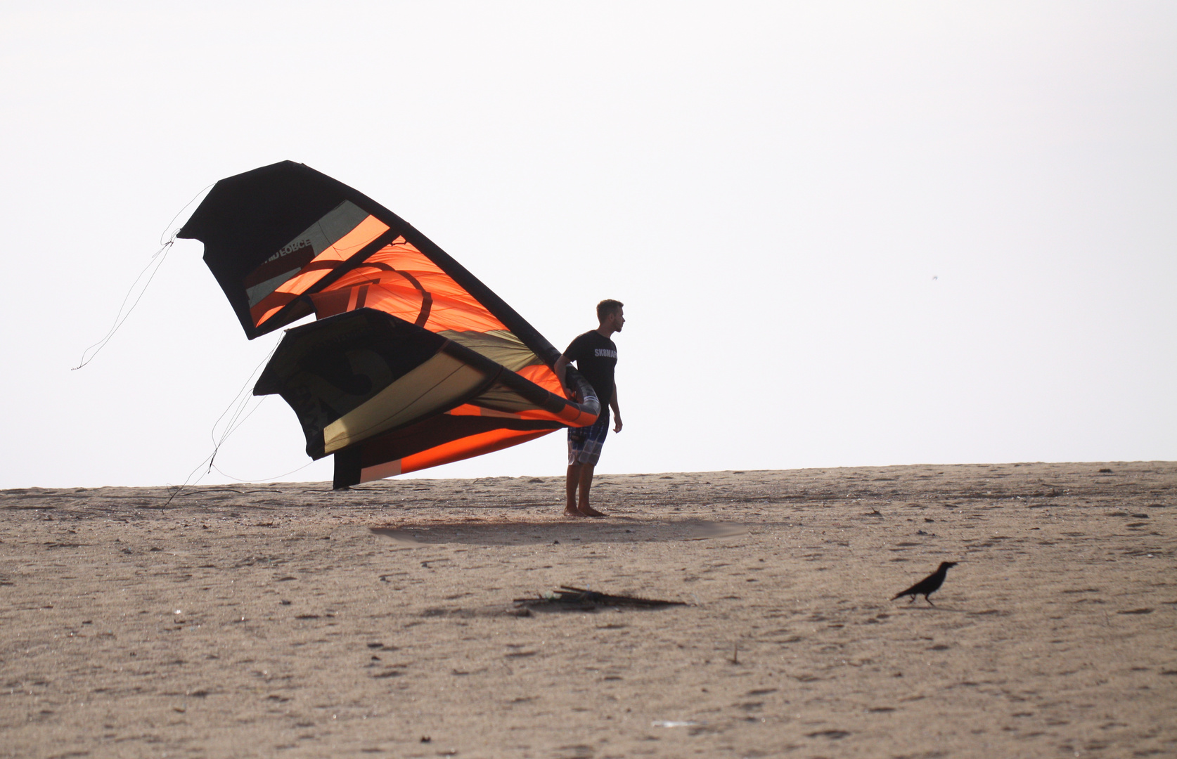 Kiter am Strand