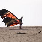 Kiter am Strand