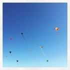 _kites