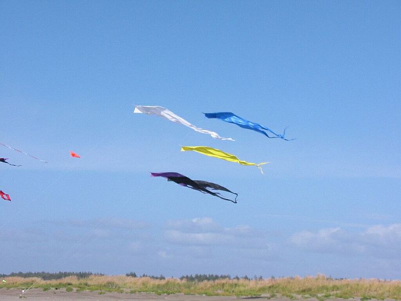 Kites