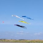 Kites