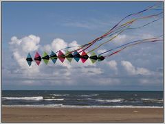 Kites