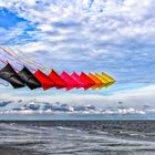 Kites_Hilton Head SC_2019