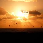 Kitesurfen am Brouwersdam auf Zeeland