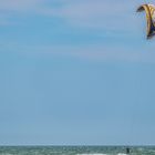 Kitesurfen vor St. Peter Ording