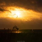 Kitesurfer