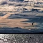 Kitesurfer