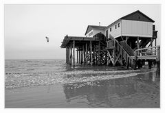 Kitesurfer