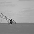 kitesurfer