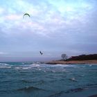 Kitesurfer auf dem Darß / bei Ahrenshoop