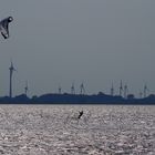 Kitesurfer auf der Elbe