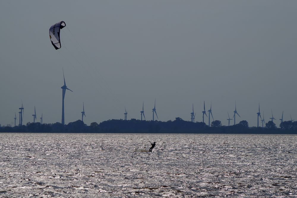 Kitesurfer auf der Elbe