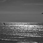 Kitesurfer in s/w