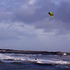 Kitesurfer und Möwe freuen sich über den Wind
