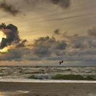 Kitesurfer vor Warnemünde