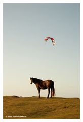 Kitesurfing