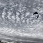 kitesurfing