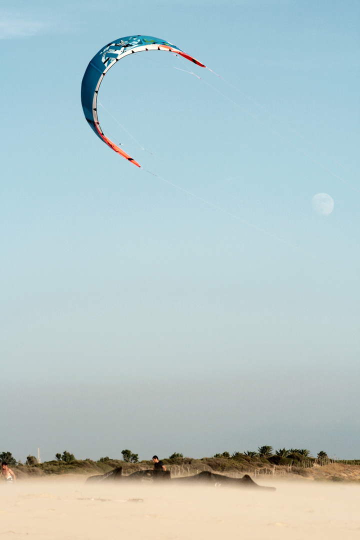 Kiting in Bolonia