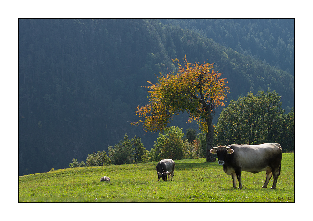 Kitsch aus Südtirol