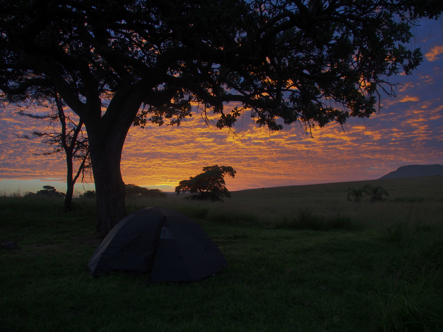 Kitsch-Camping