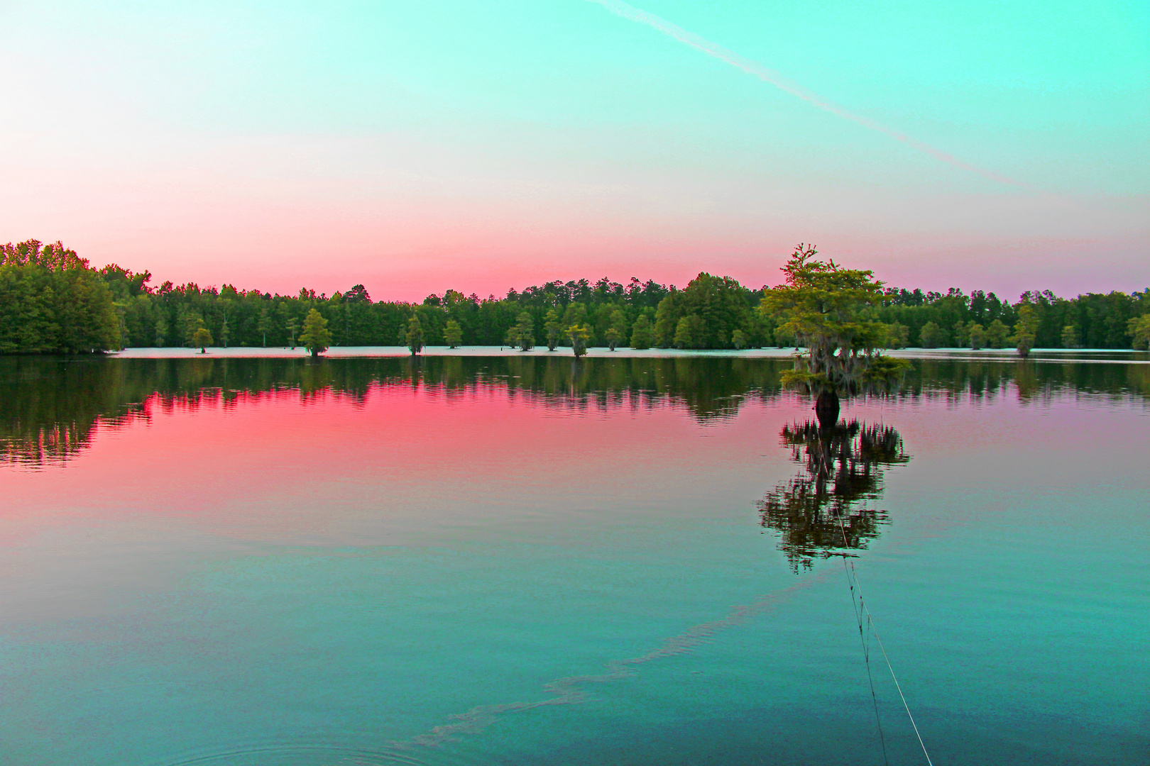 Kitsch colours at the millpond