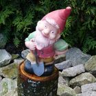 Kitsch im Garten-der Gartenzwerg