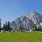 Kitschig schön in Tirol !