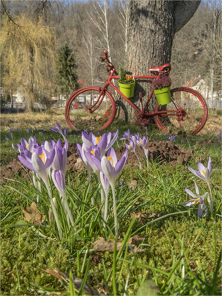 kitschpostkarte in frühlingslaune