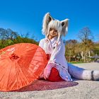 Kitsune - japanisches Fuchswesen