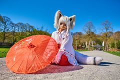 Kitsune - japanisches Fuchswesen