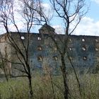 Kittsee altes Schloss / Burgruine