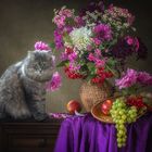 Kitty and autumn bouquet