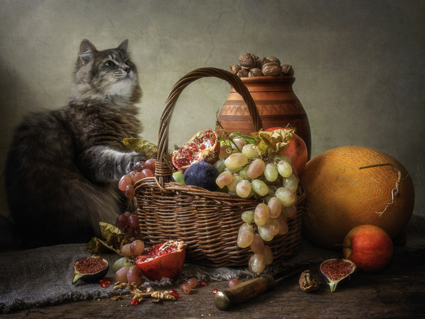 Kitty and fruit still life