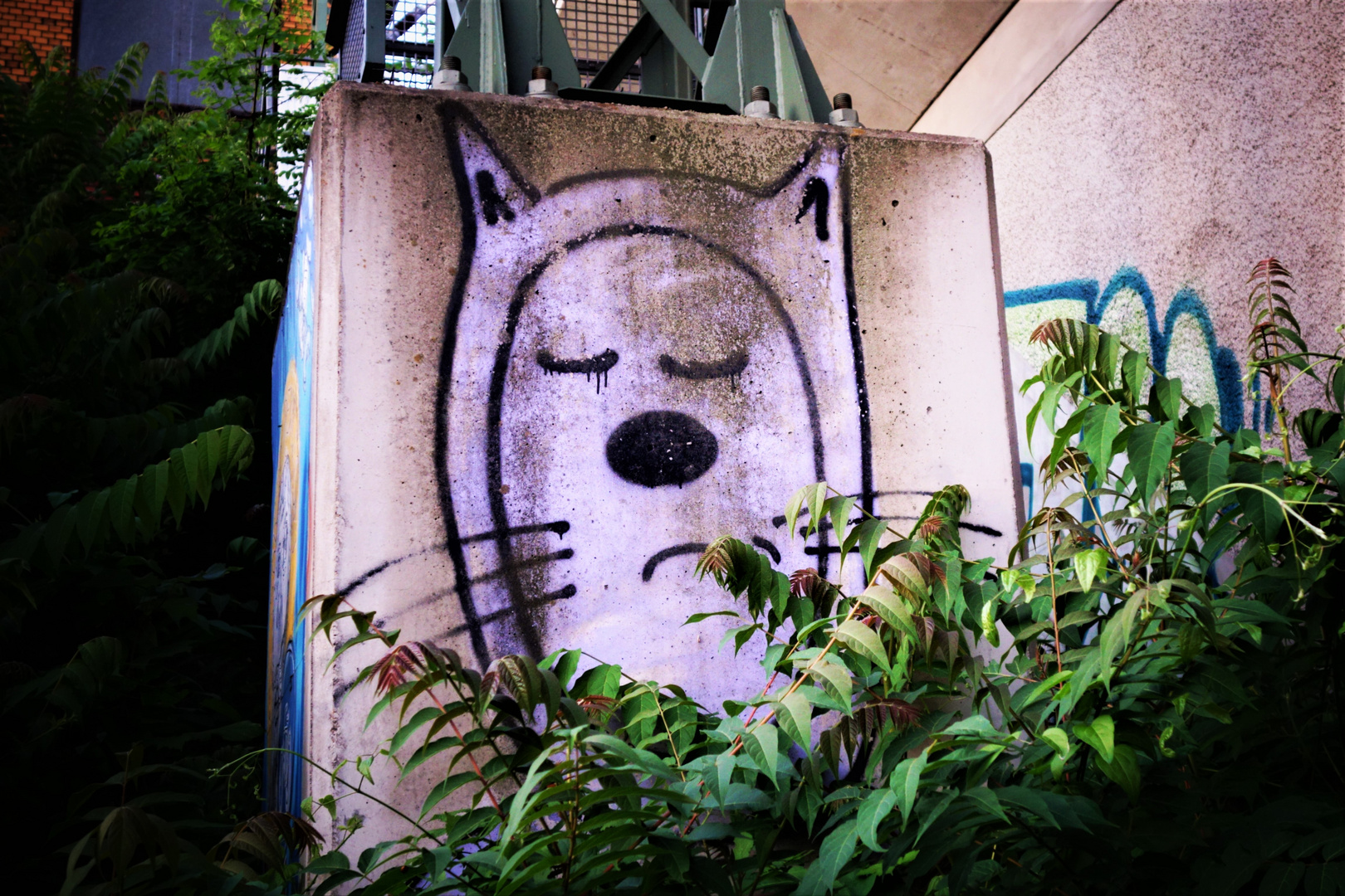 *Kitty Graffiti - Portrait* (#7)