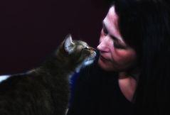 Kitty Kiss