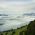 Kitzbüheler Alpen