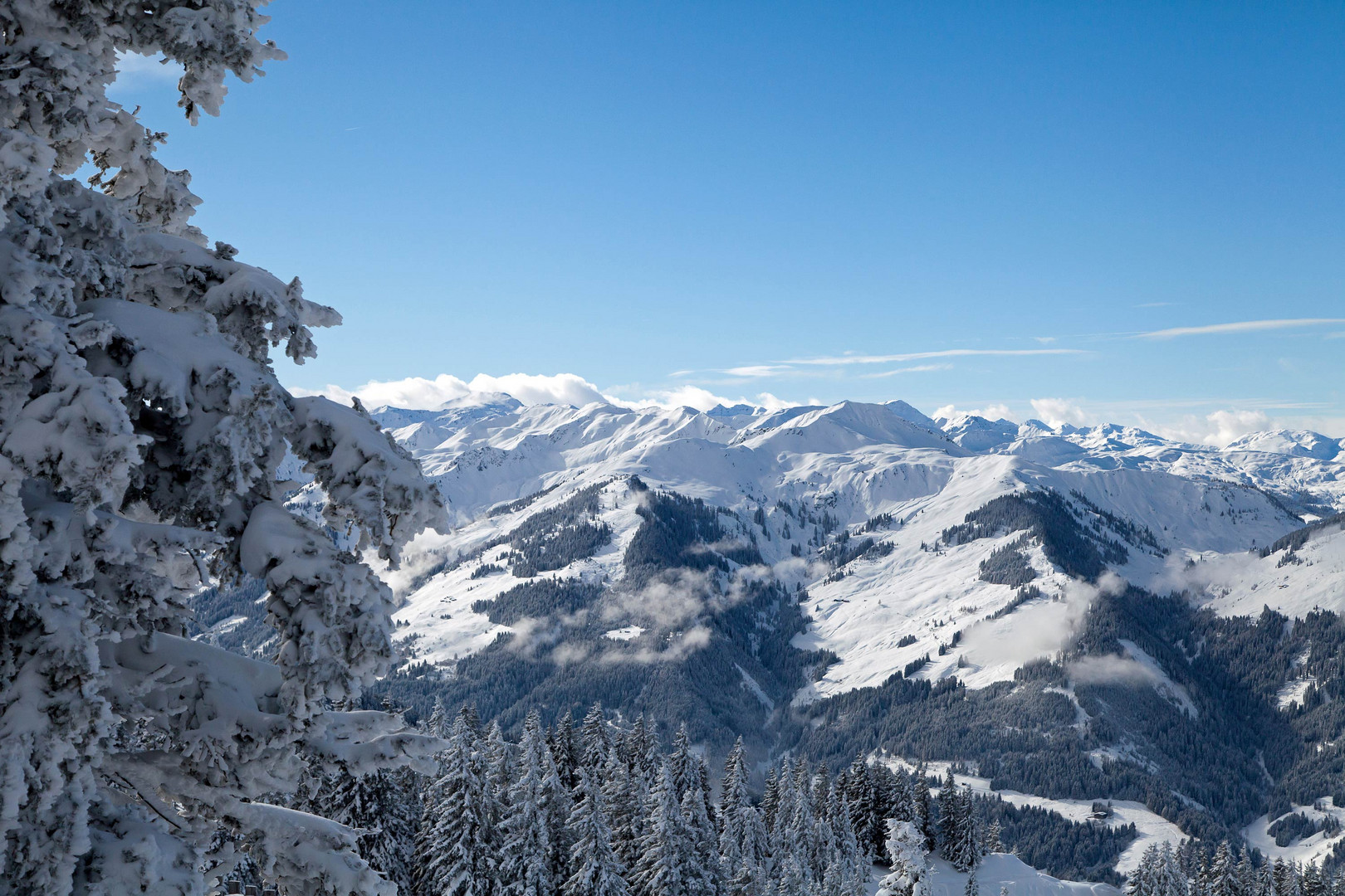 Kitzbüheler Alpen