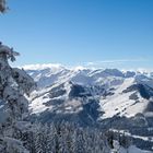 Kitzbüheler Alpen