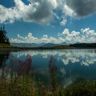 Kitzbüheler Berge: Am Hartkaser